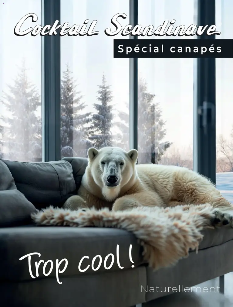 Cocktail Scandinave catalogue 18/02/2026 - nouveau prospectus