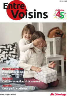 Mr. Bricolage catalogue 01/12/2025 - nouveau prospectus