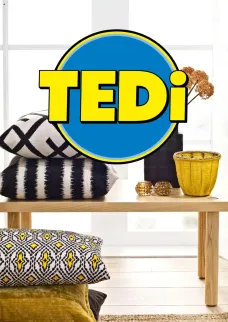 TEDi catalogue 30/01/2026 - nouveau prospectus